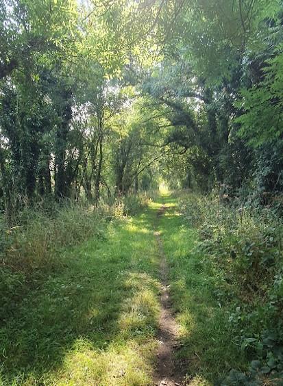Bagworth incline